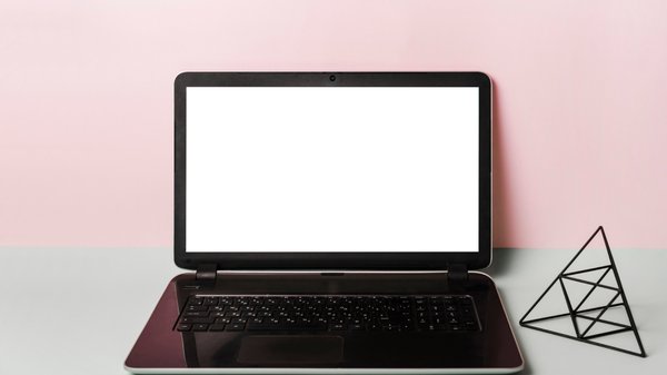 Dératisation et maintenance informatique : gardez votre PC en bonne santé